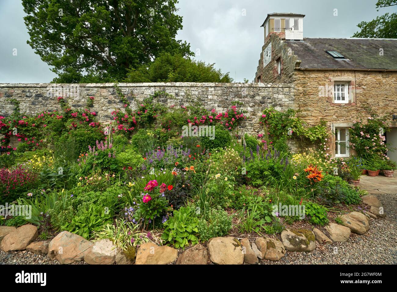 Deep herbaceous borders hi-res stock photography and images - Alamy