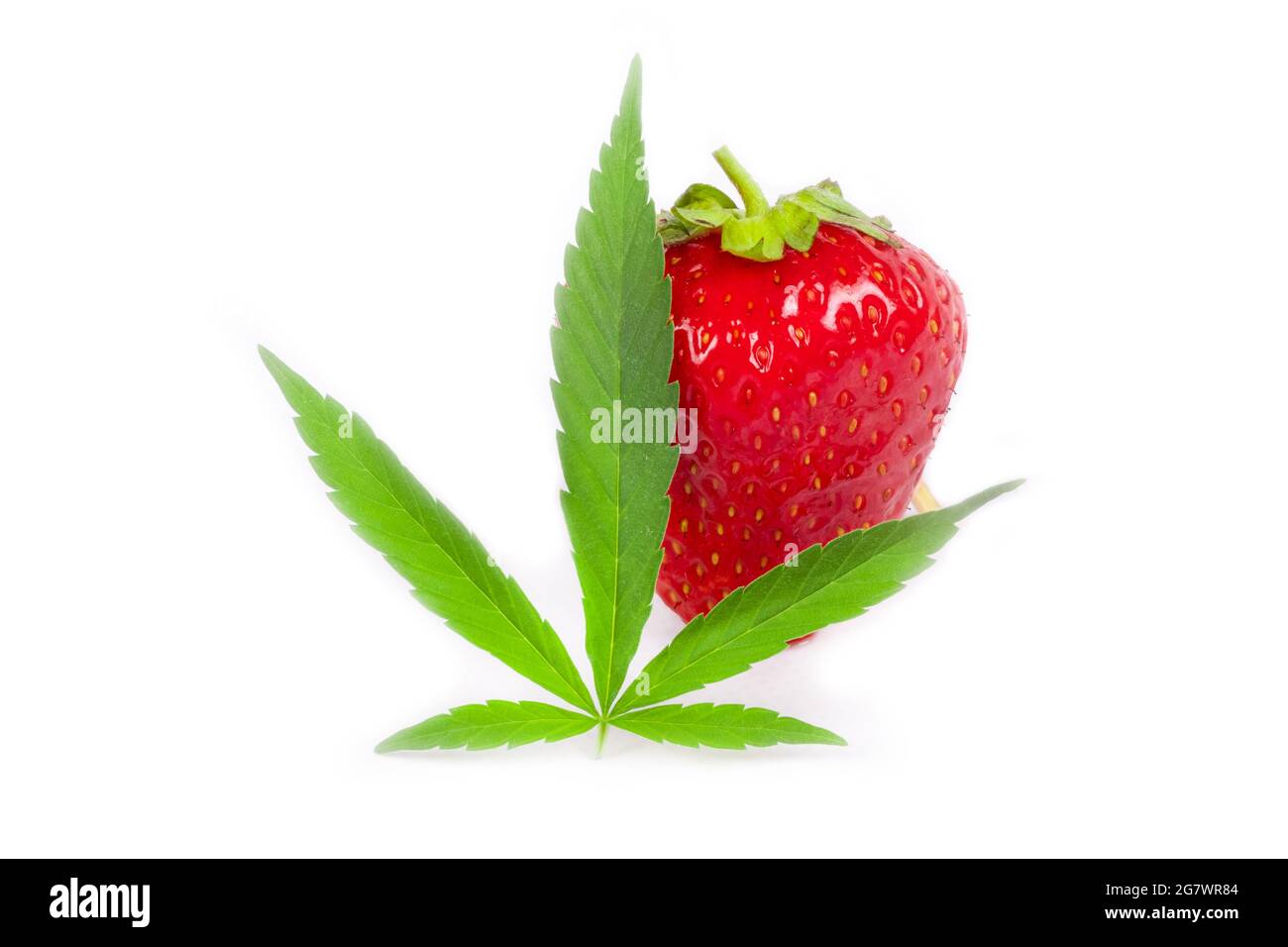red strawberry and cannabis leaf isolated on white background. Stock Photo