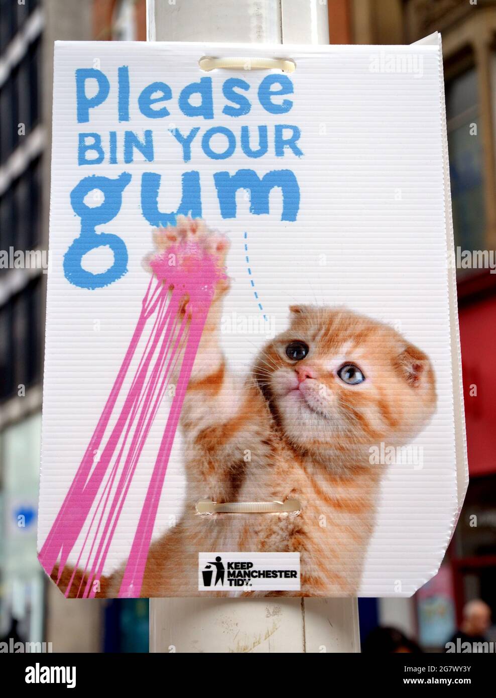 Please bin your gum hires stock photography and images Alamy