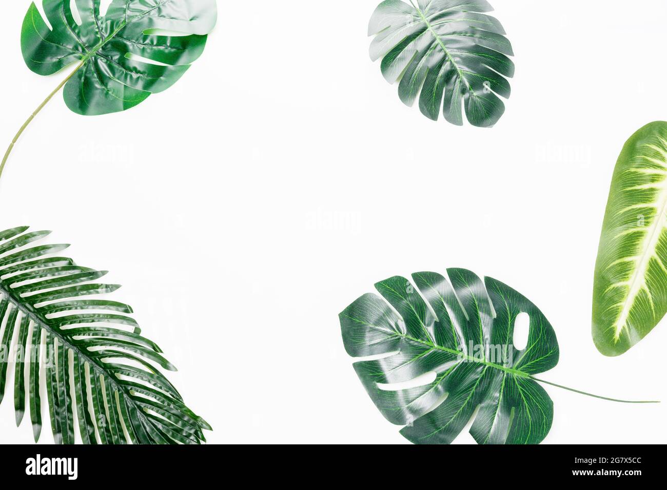 Flat lay tropical leaves on white background with blank space for text. Top view travel or vacation concept. Stock Photo