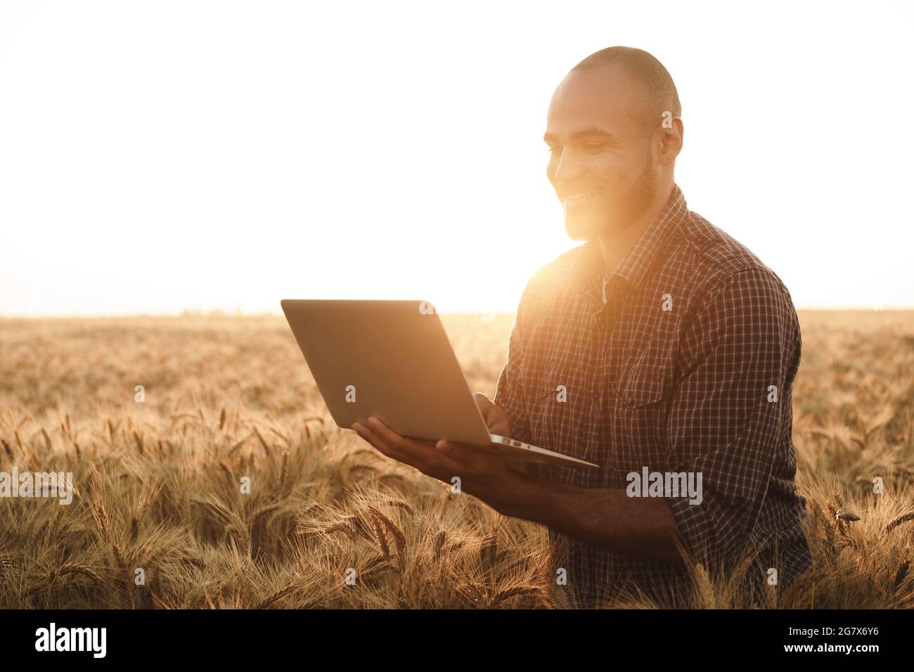 Businessman standing grain field hi-res stock photography and images ...