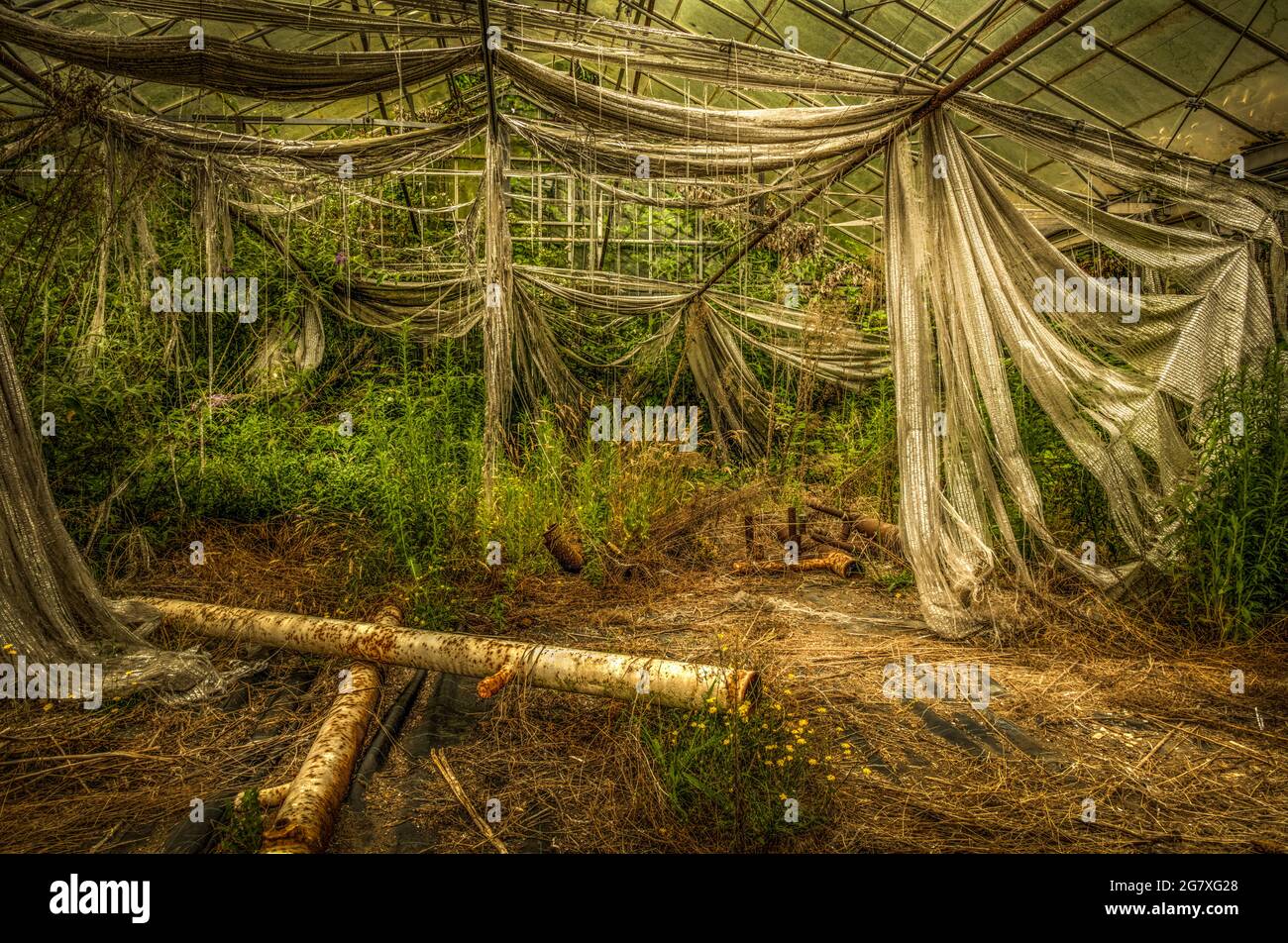 Greenhouse structure hi-res stock photography and images - Alamy