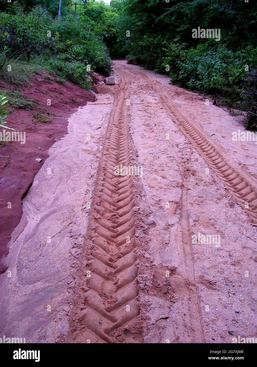 Towards a known path, destination. Traces of vehicle, tractor, tyre mark on wet path, land. A tractor's tyre mark on wet soil path Stock Photo