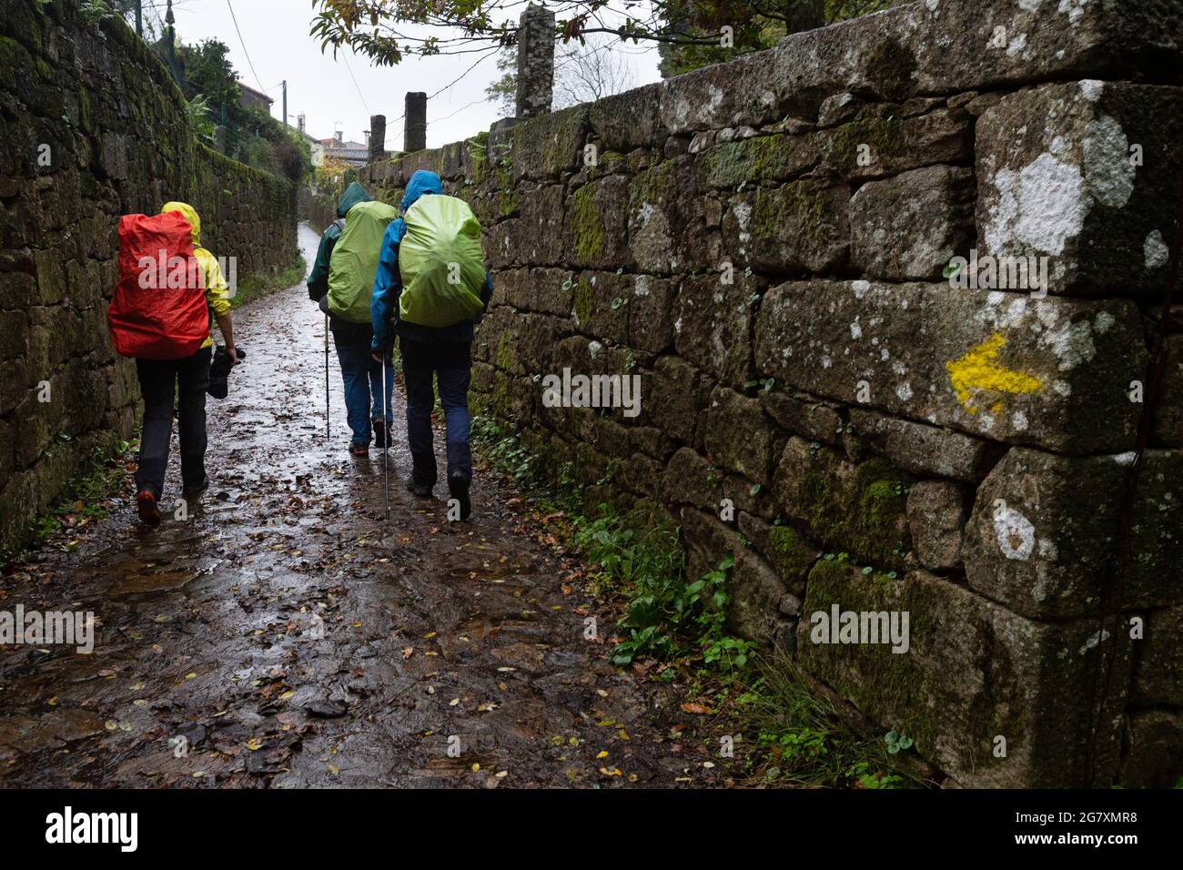 Tres peregrinos caminan hacia Santiago de Compostela. Aldea Cambelas, Padrón. Camino de Santiago Portugués. Stock Photo