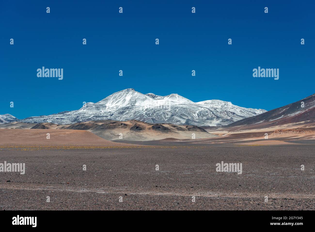 Volcano Ojos del Salado, the highest volcano in the world, in Atacama  desert, clear sky and sunny weather Stock Photo - Alamy, image size:1300x957