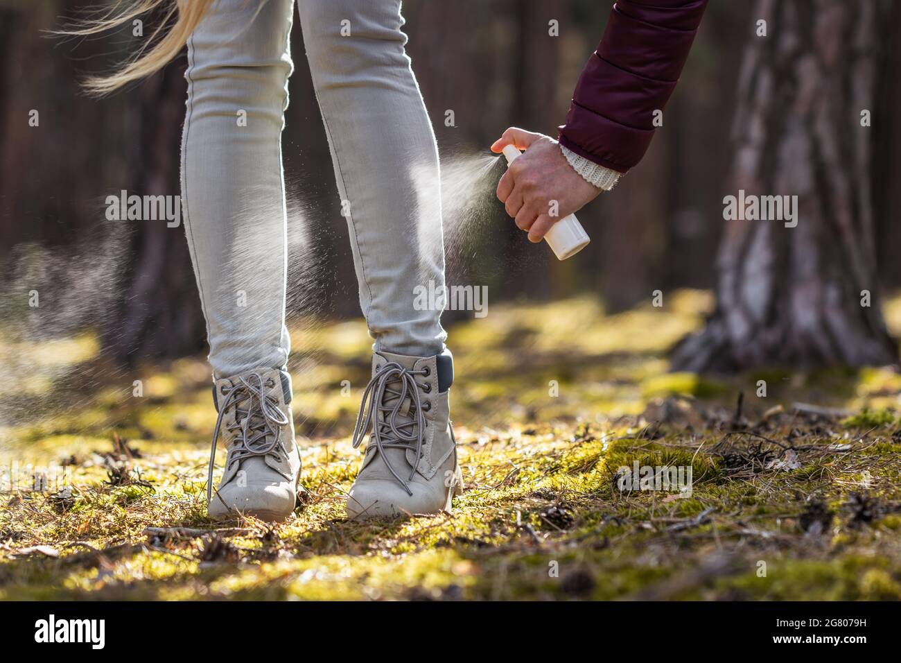 Woman spraying insect repellent against tick at her legs. Protection against mosquito bite during hike in forest Stock Photo