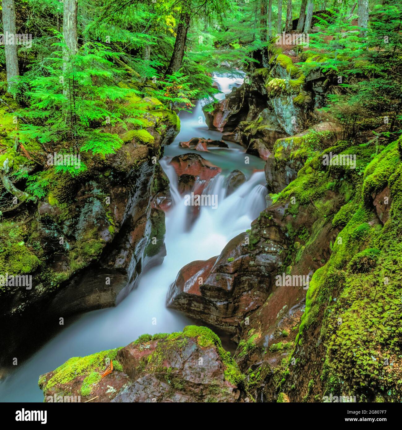 avalanche-creek-flowing-through-a-gorge-in-glacier-national-park