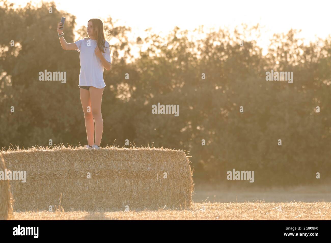 teenage latina girl with black hair and white t-shirt and shorts taking a selfie on top of a bale of straw in a harvested field at dusk. Stock Photo