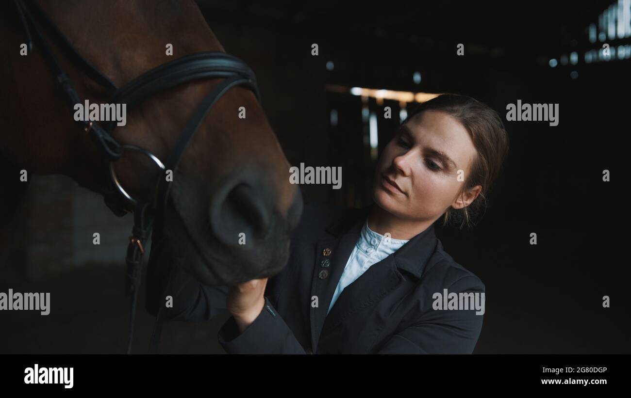 Competitive horsewoman fixing her seal brown horse bridle in the stable. The girl is dressed in a black coat. Preparing her horse for the horse riding competition.  Stock Photo