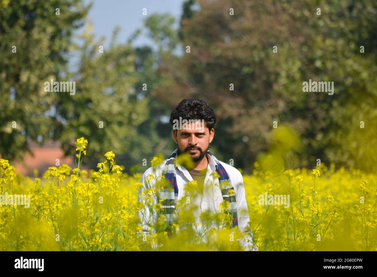 Young indian farmer at black mustard field Stock Photo