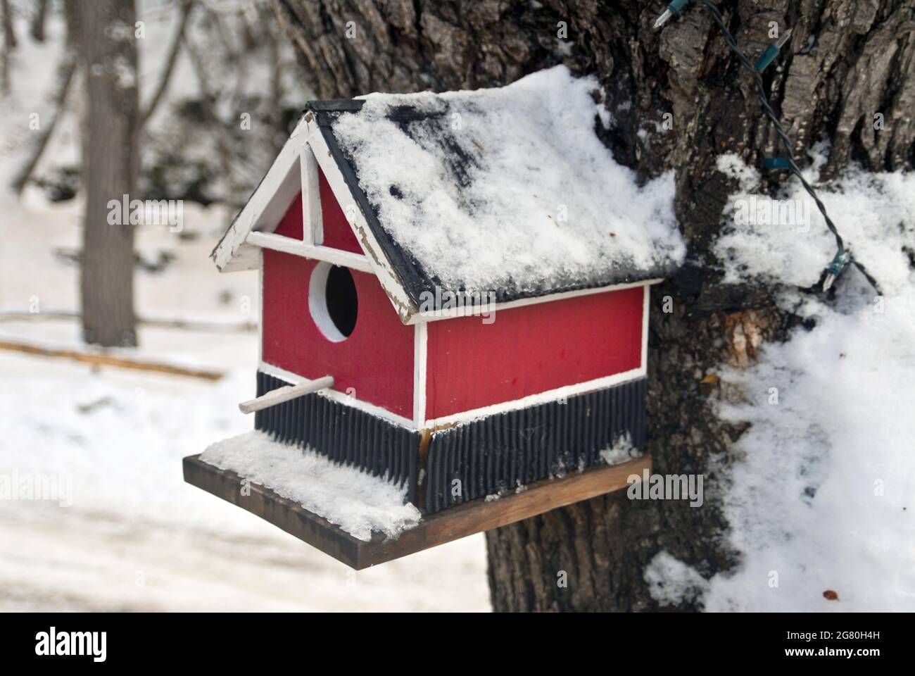 Birdhouse covered by snow. Ushuaia. Tierra del Fuego, Argentina Stock Photo