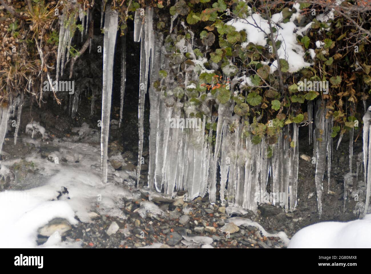 Ice stalactites. Martial Glacier. Tierra del Fuego, Argentina Stock Photo