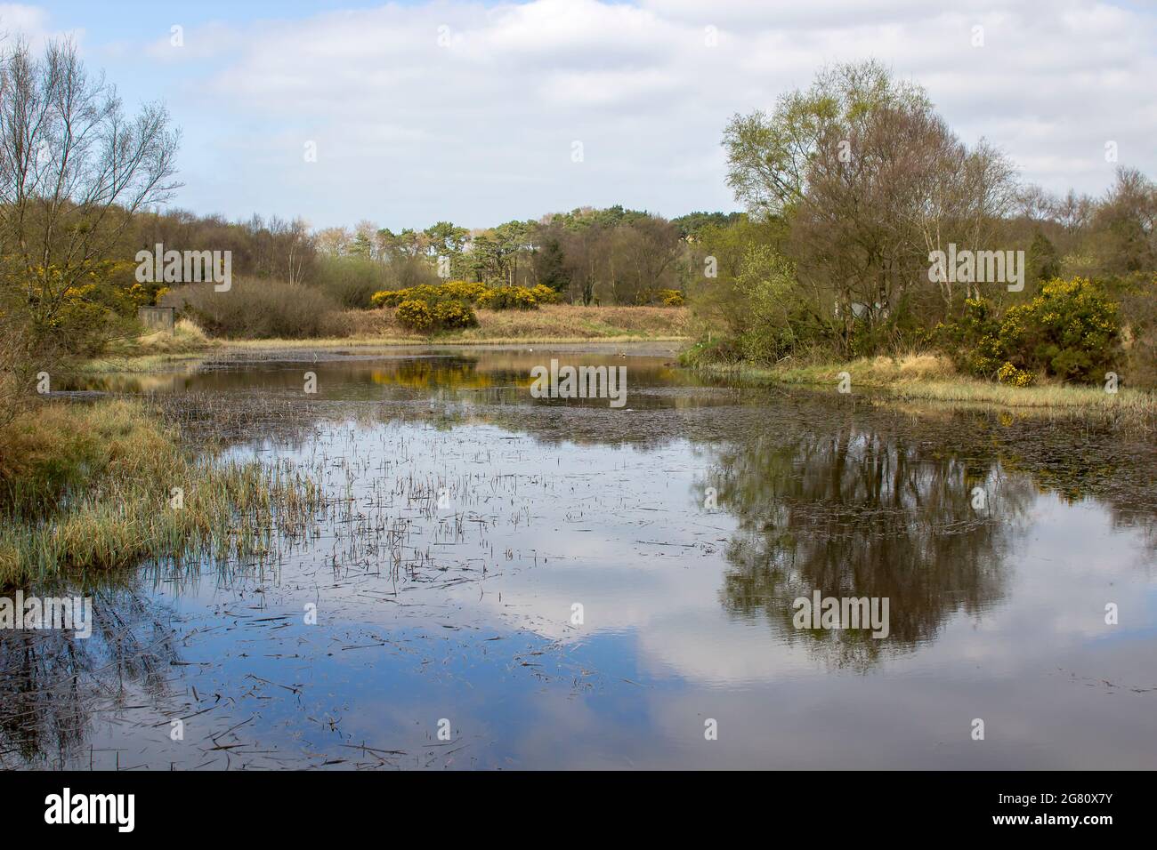 The lake beside Clandeboye Golf Course and part of  the old lead mines workings in Conlig, County Down in N Ireland. This environmentally friendly wat Stock Photo