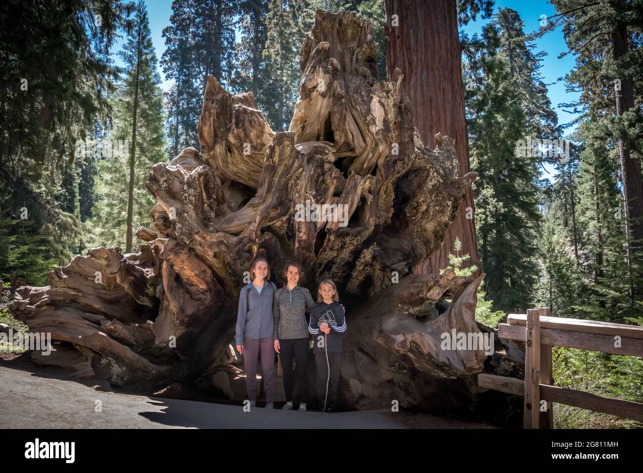 Three children stand at the opening to the 'Fallen Monarch,' a hollowed out tunnel tree visitors can walk through in Grant Grove loop trail in Kings C Stock Photo