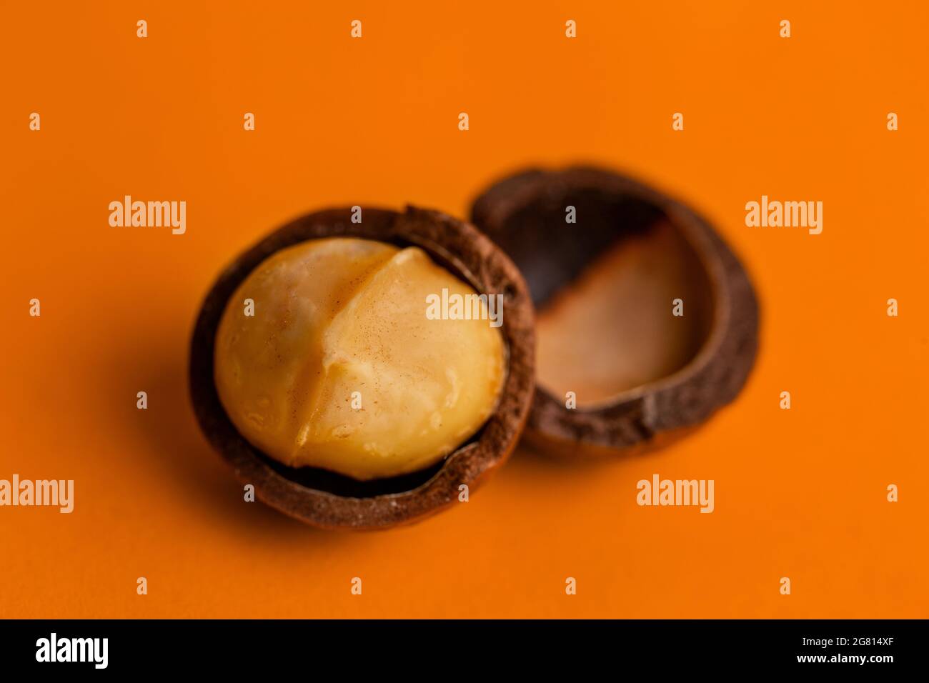 split macadamia nut close-up on an orange background. Stock Photo