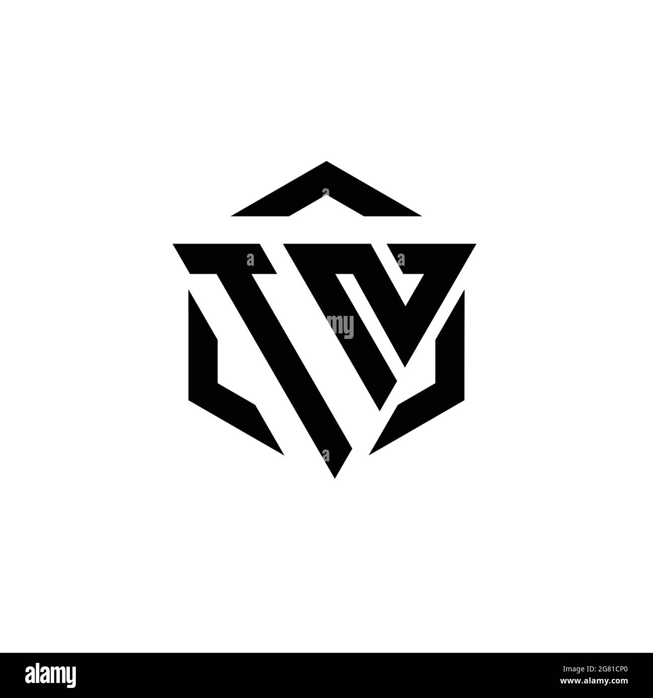 TN logo with negative space triangle and circle shape design template isolated on white background Stock Vector
