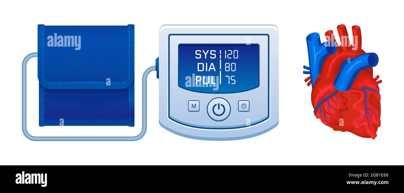 Electronic blood pressure monitor with measuring results realistic ...