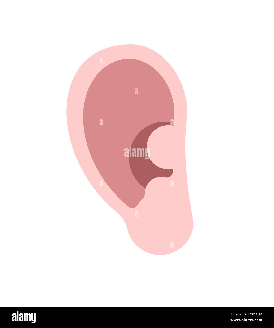 Human ear isolated. Part of body vector illustration Stock Vector Image ...
