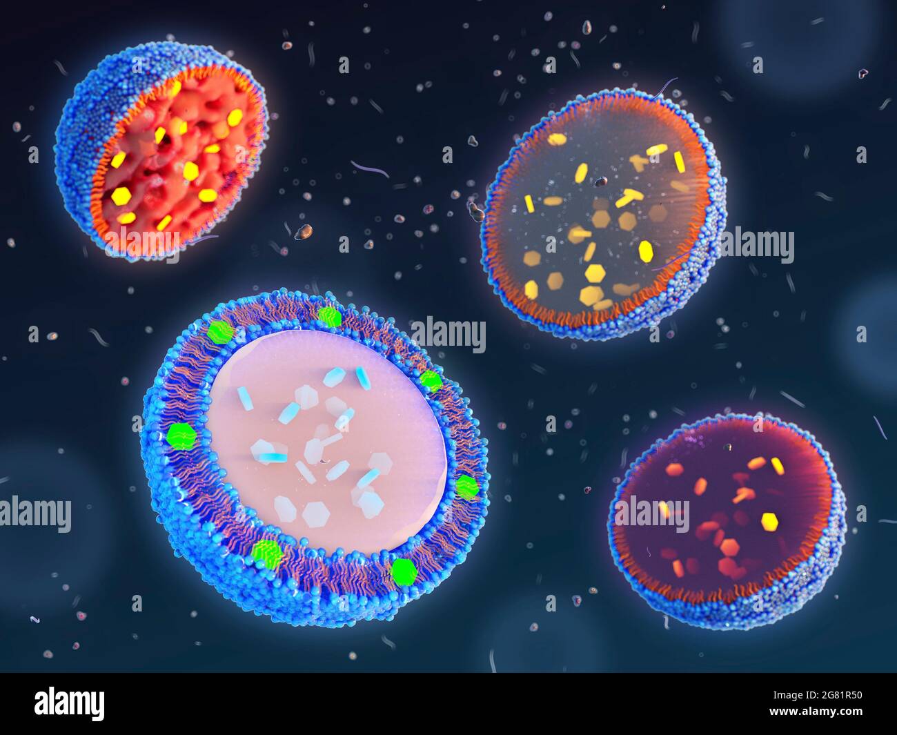 Lipid-based nanoparticles for drug encapsulation, illustrati Stock Photo