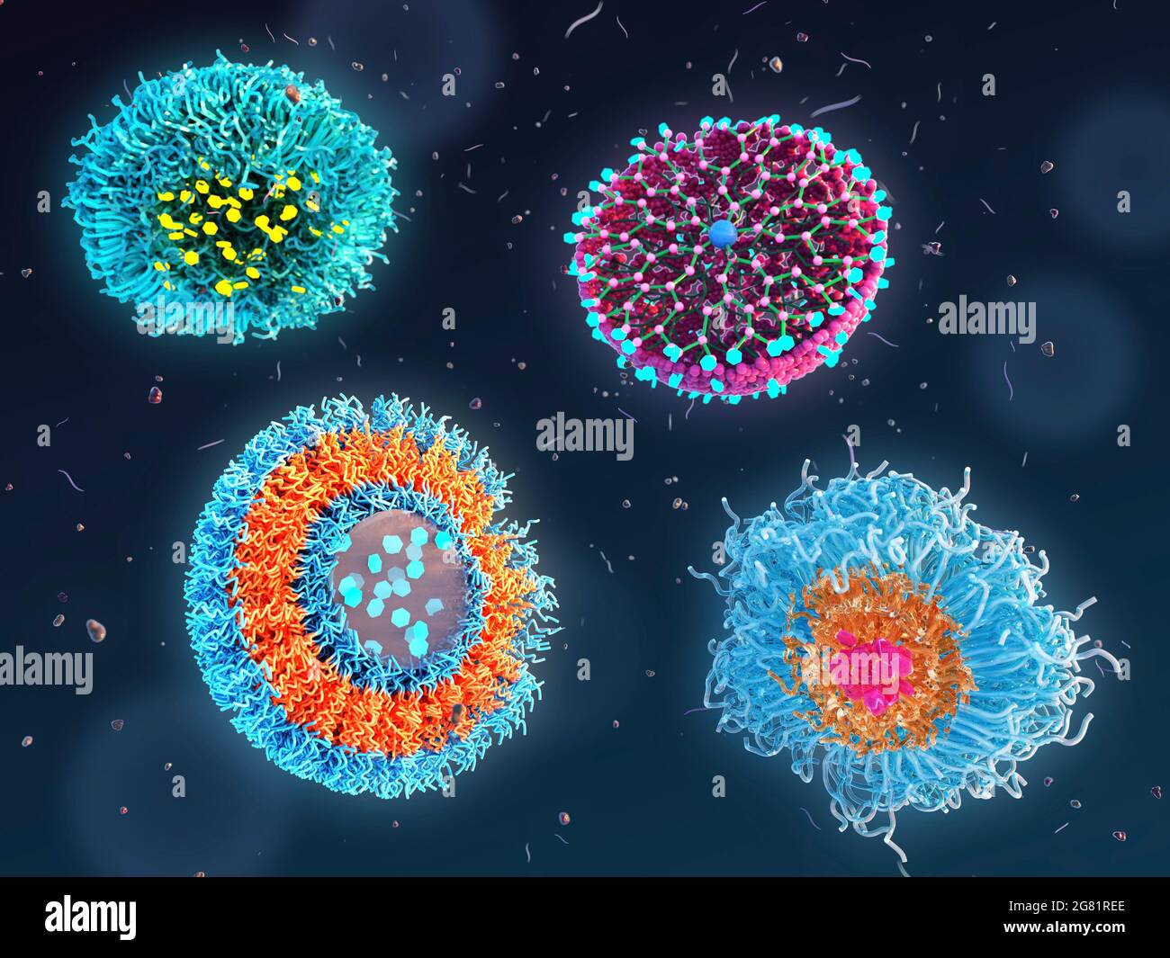 Polymeric nanoparticles for drug encapsulation, illustration Stock Photo