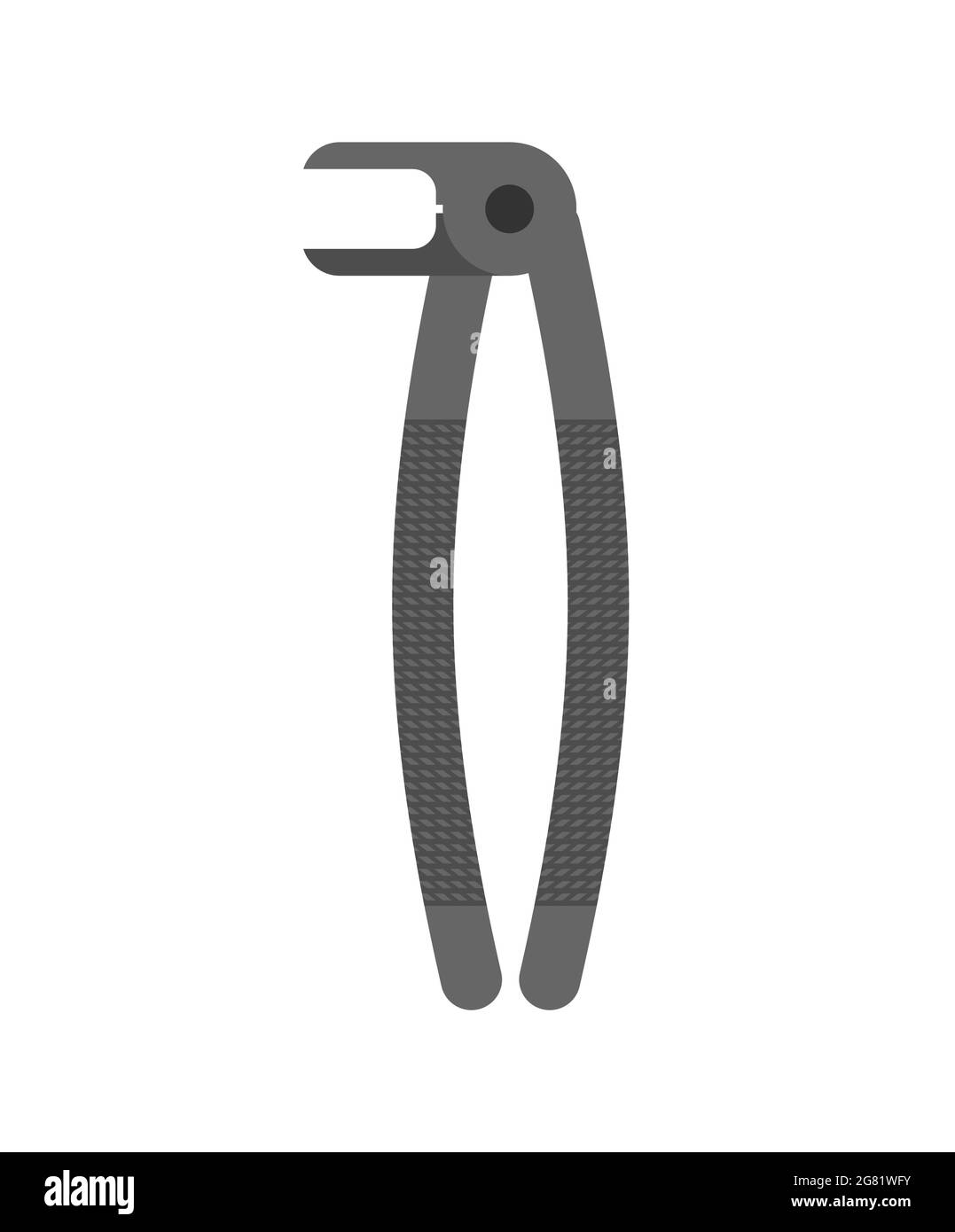 Teeth forceps isolated. Dentist tool for pulling teeth Stock Vector