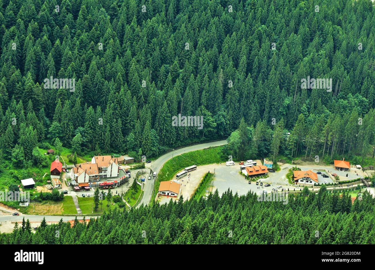 Aerial view of rural houses surrounded by dense green trees Stock Photo ...