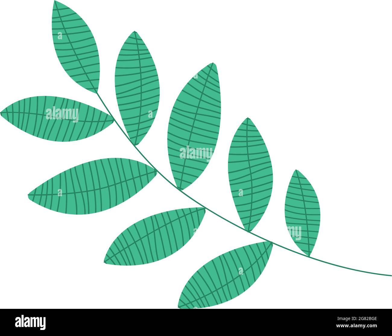 branch with leafs nature icon Stock Vector Image & Art - Alamy