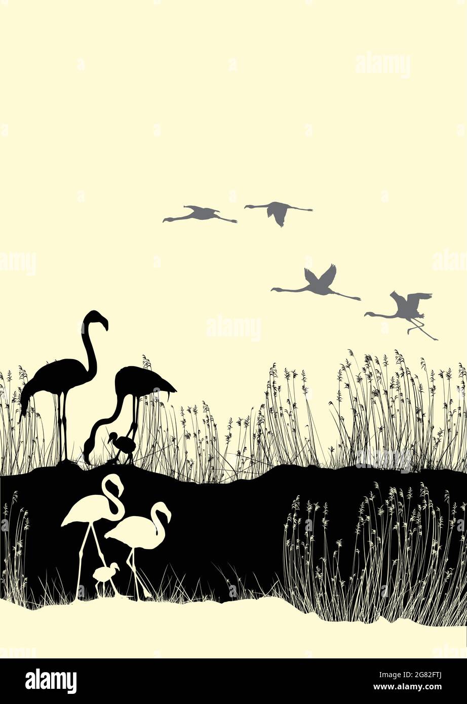 Flamingos with their young Stock Vector
