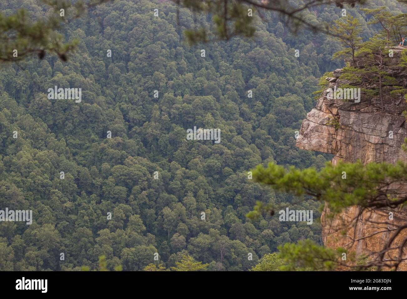Rock Cliff on the Endless Wall Trail in New River Gorge National Park Stock Photo