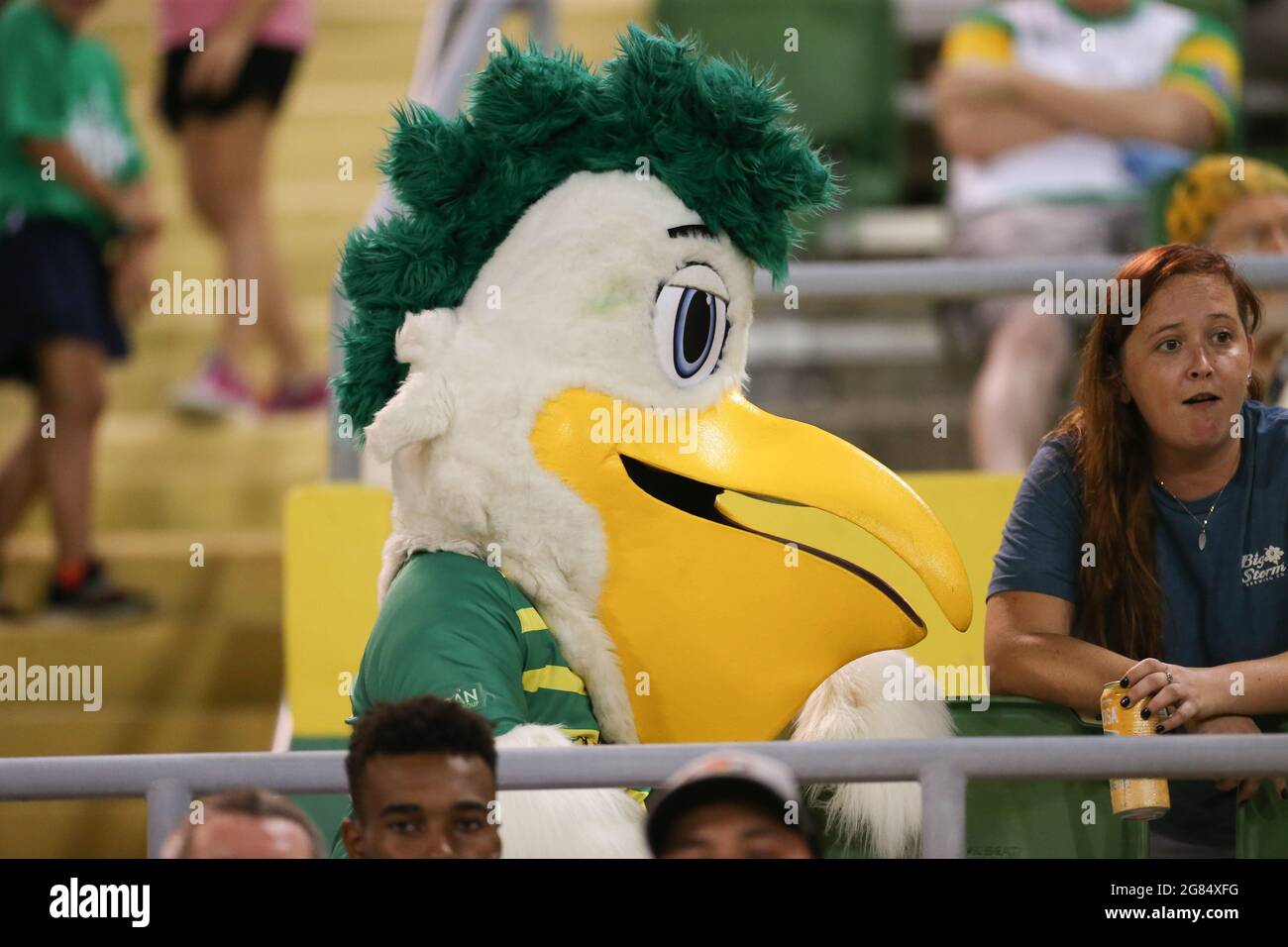 St. Petersburg, FL USA; Tampa Bay Rowdies mascot Pete the Pelican