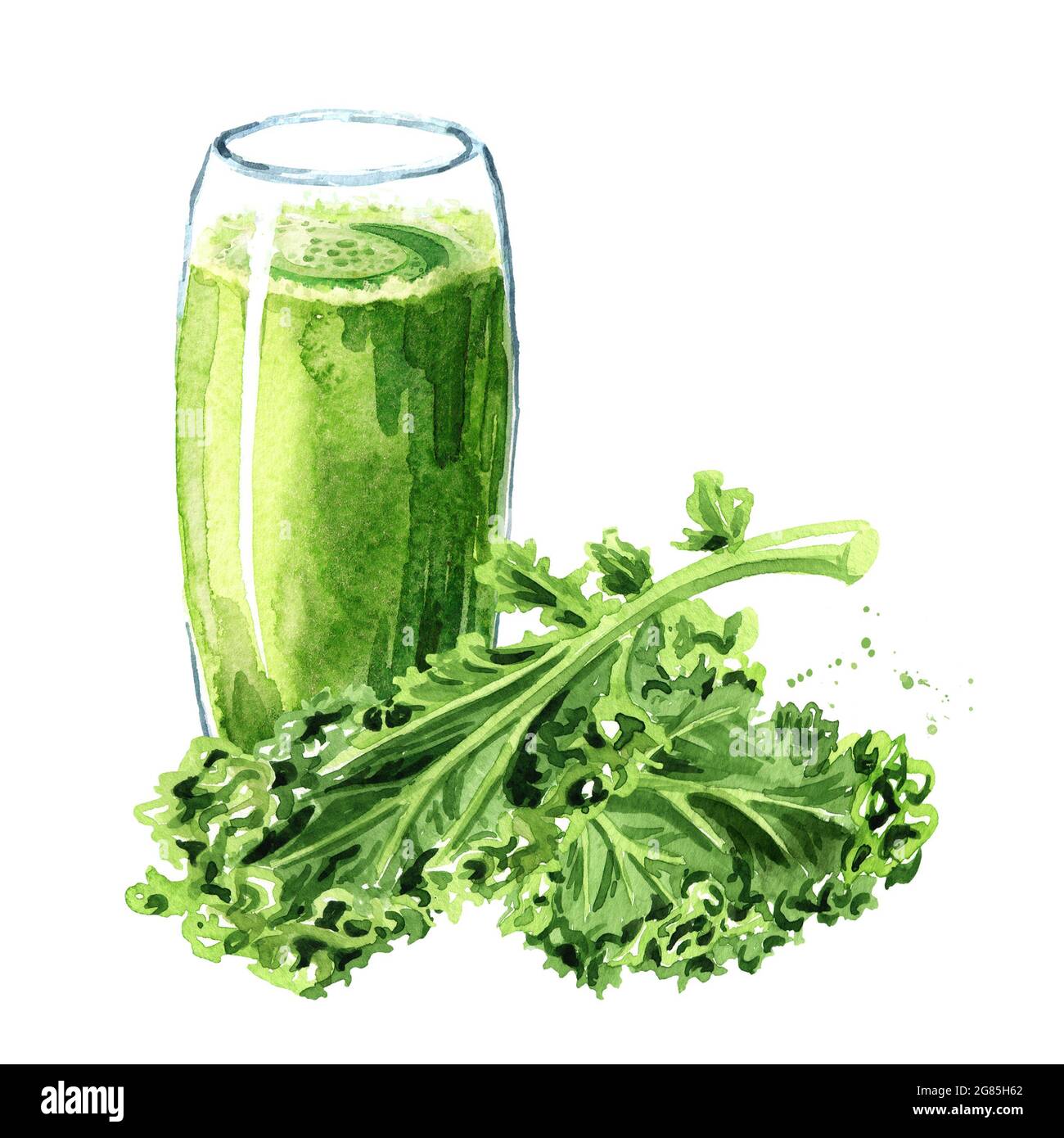 Kale Juice smoothie with Curly Kale. Watercolor hand drawn illustration