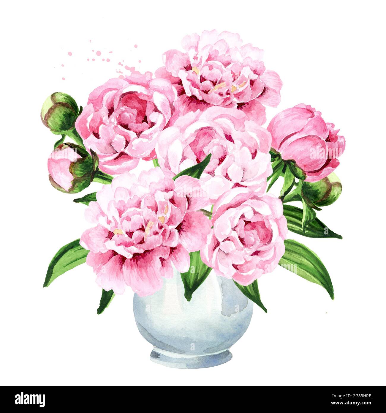 Pink peony Flowers bouquet in a vase. Hand drawn watercolor ...