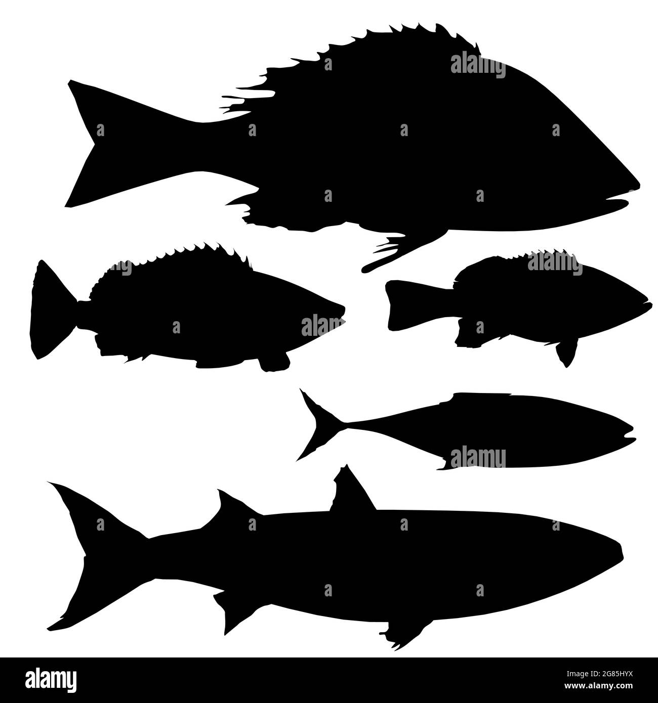 Set with a silhouette of different fish isolated on a white background. Side view. Vector illustration. Stock Vector