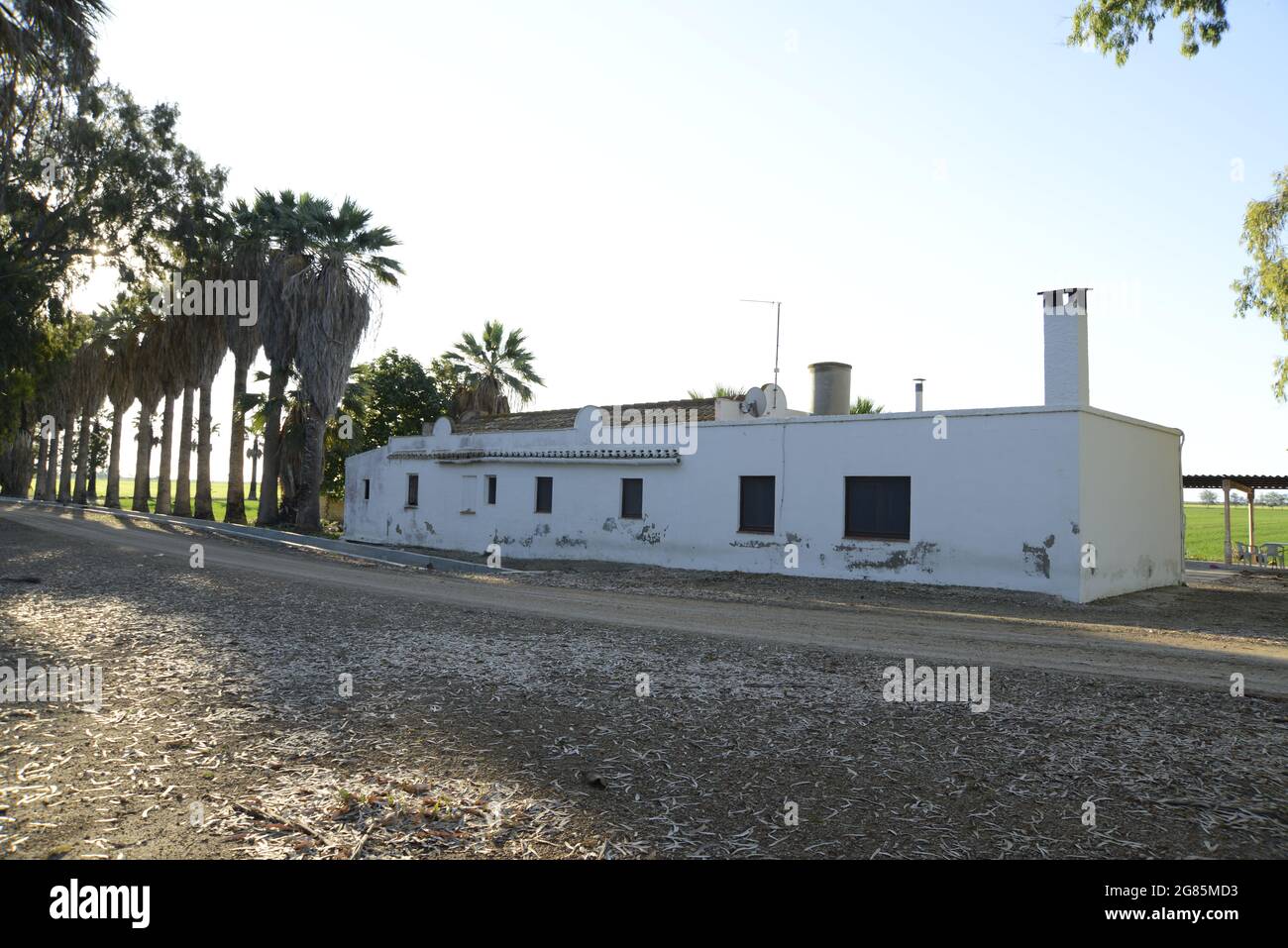 houses at the private island at the River delta Ebro in Deltebre , baix Ebre, Tarragona