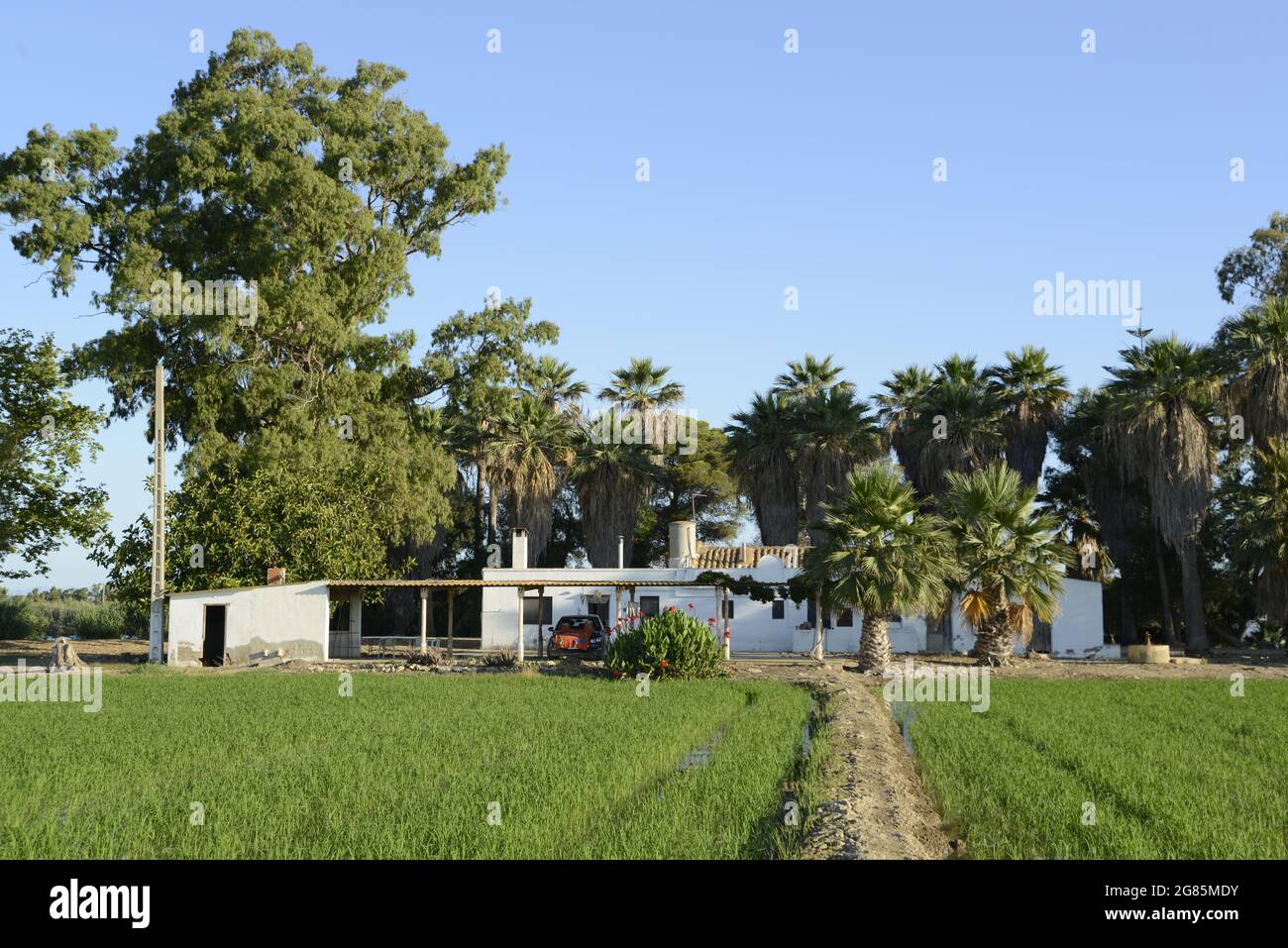 house at the private island of Buda in fron of rice fields. Deltebre, Baix Ebre, Tarragona, Catalunya, Spain Stock Photo