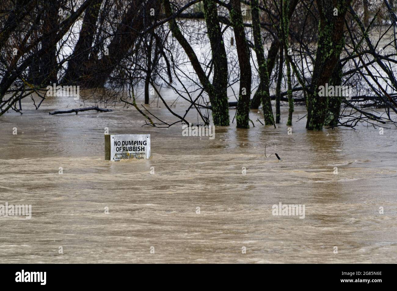 A flooded river nearly covers a 'No Dumping Of Rubbish' sign, flooding the surrounding trees Stock Photo