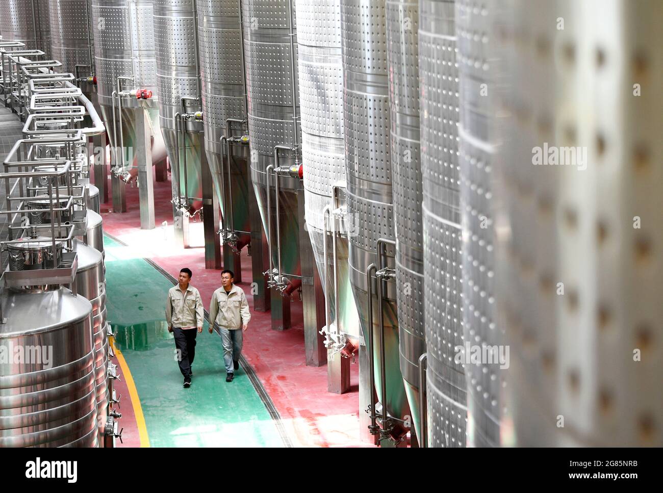 Yinchuan, China's Ningxia Hui Autonomous Region. 1st July, 2021. Workers patrol at a wine storing workshop in Minning Township, Yongning County of Yinchuan, northwest China's Ningxia Hui Autonomous Region, July 1, 2021. Credit: Wang Peng/Xinhua/Alamy Live News Stock Photo