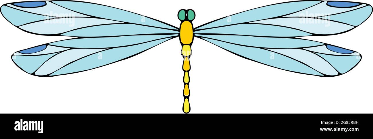 Dragonfly vector icon Stock Vector