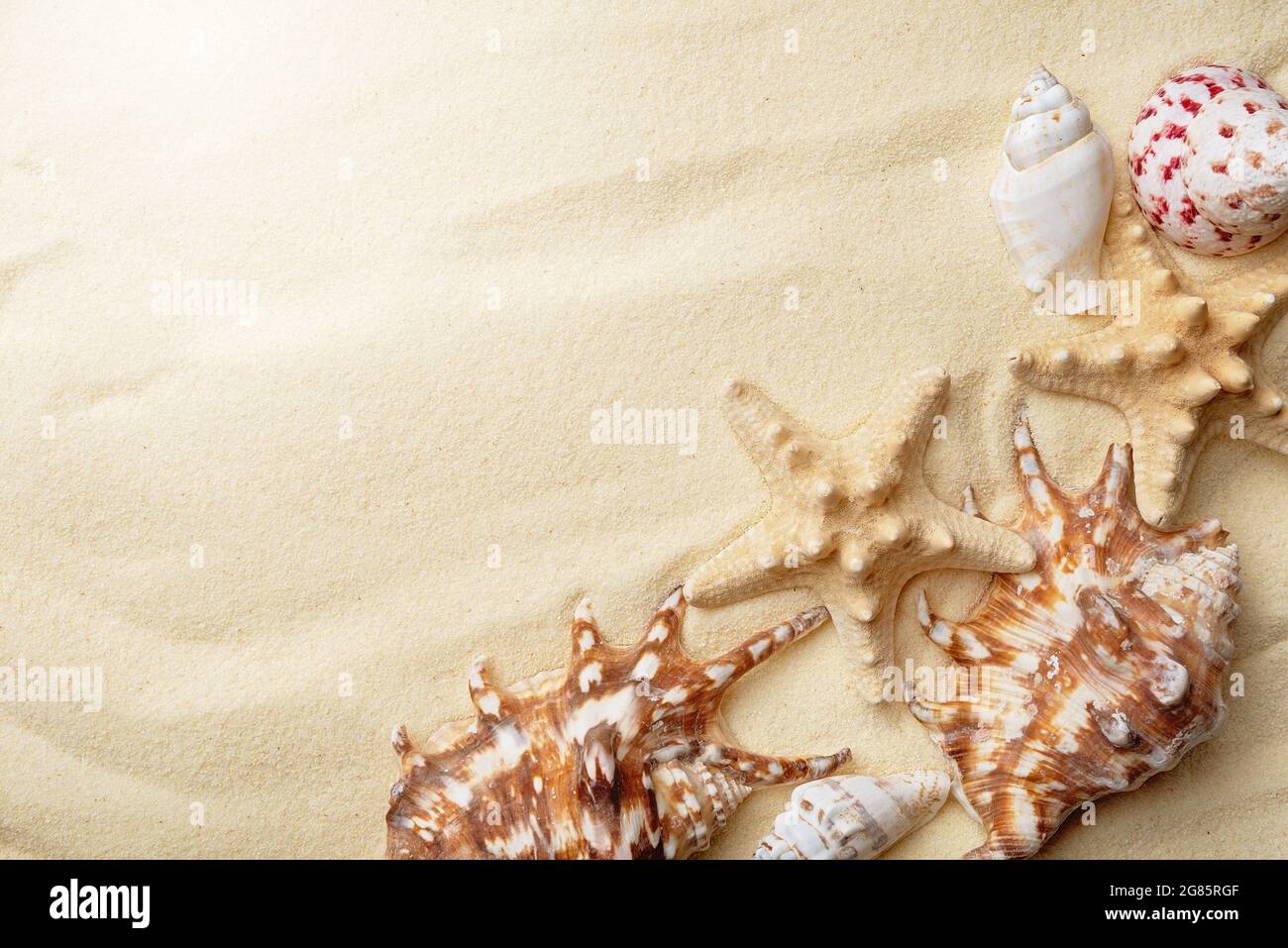 Seashells and Starfish on sand. Sea summer vacation background with ...