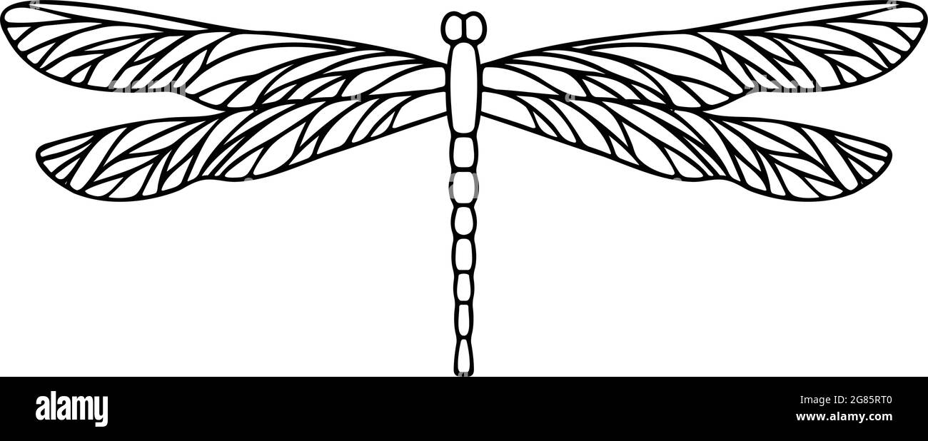 Dragonfly vector icon Stock Vector