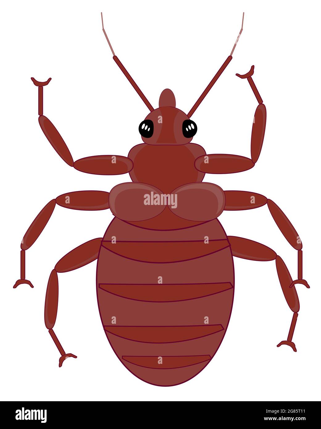 Bad Insect Drawing Bad insect flea on white background is insulated Stock Vector Image ...
