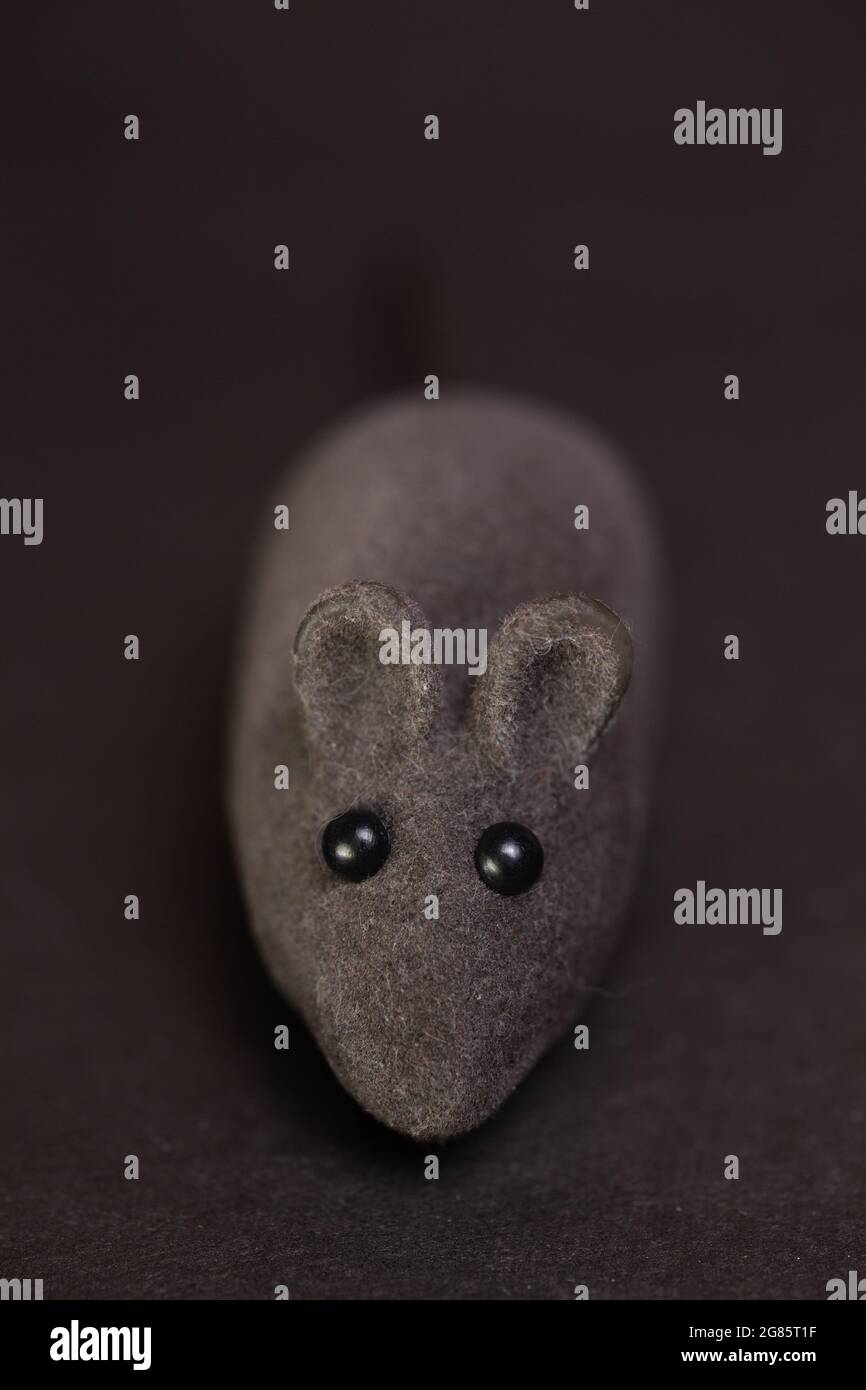 gray toy mouse on a dark background. Stock Photo