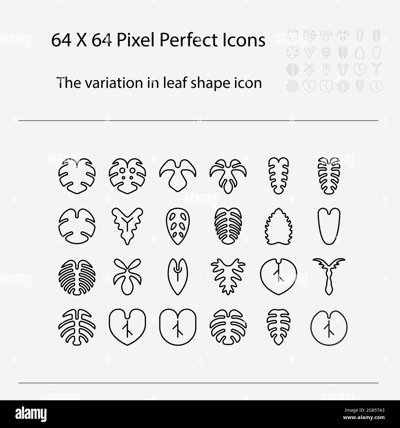 The variation of leaf shape icon. Variation of leaves vector outline icon Stock Vector