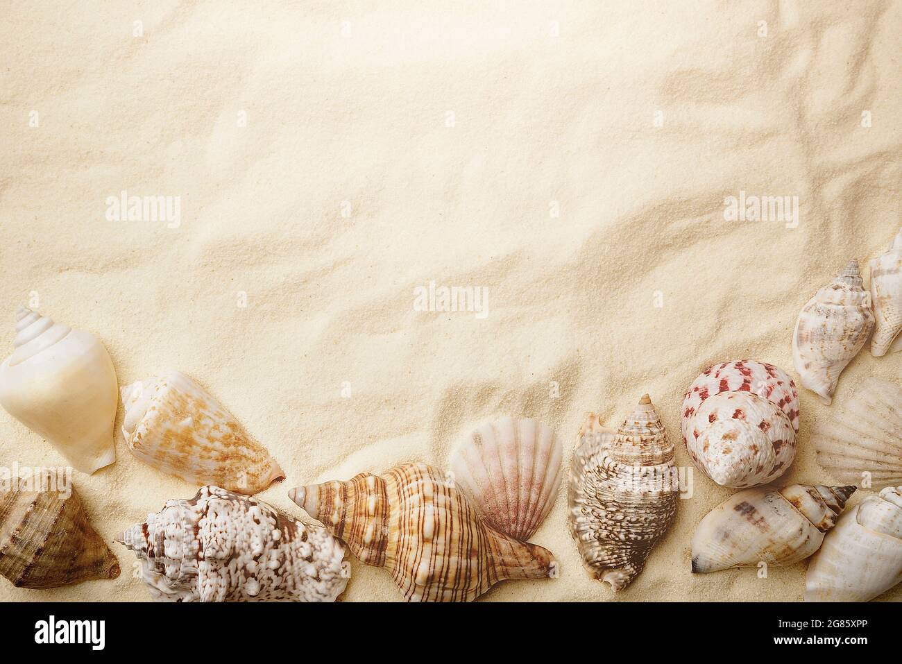Seashells and Starfish on sand. Sea summer vacation background with ...