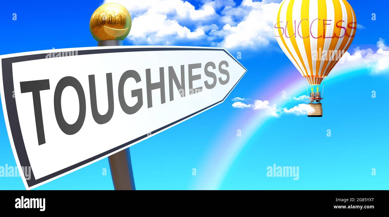 Toughness leads to success - shown as a sign with a phrase Toughness pointing at balloon in the sky with clouds to symbolize the meaning of Toughness, Stock Photo