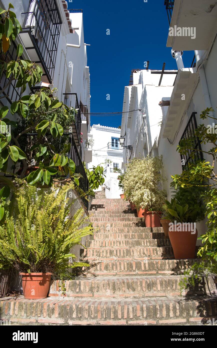 Frigiliana village Spain. Picturesque lane in the old town. Steep steps lined with colorful flowers. Typical Spanish scene. Vertical shot. Stock Photo