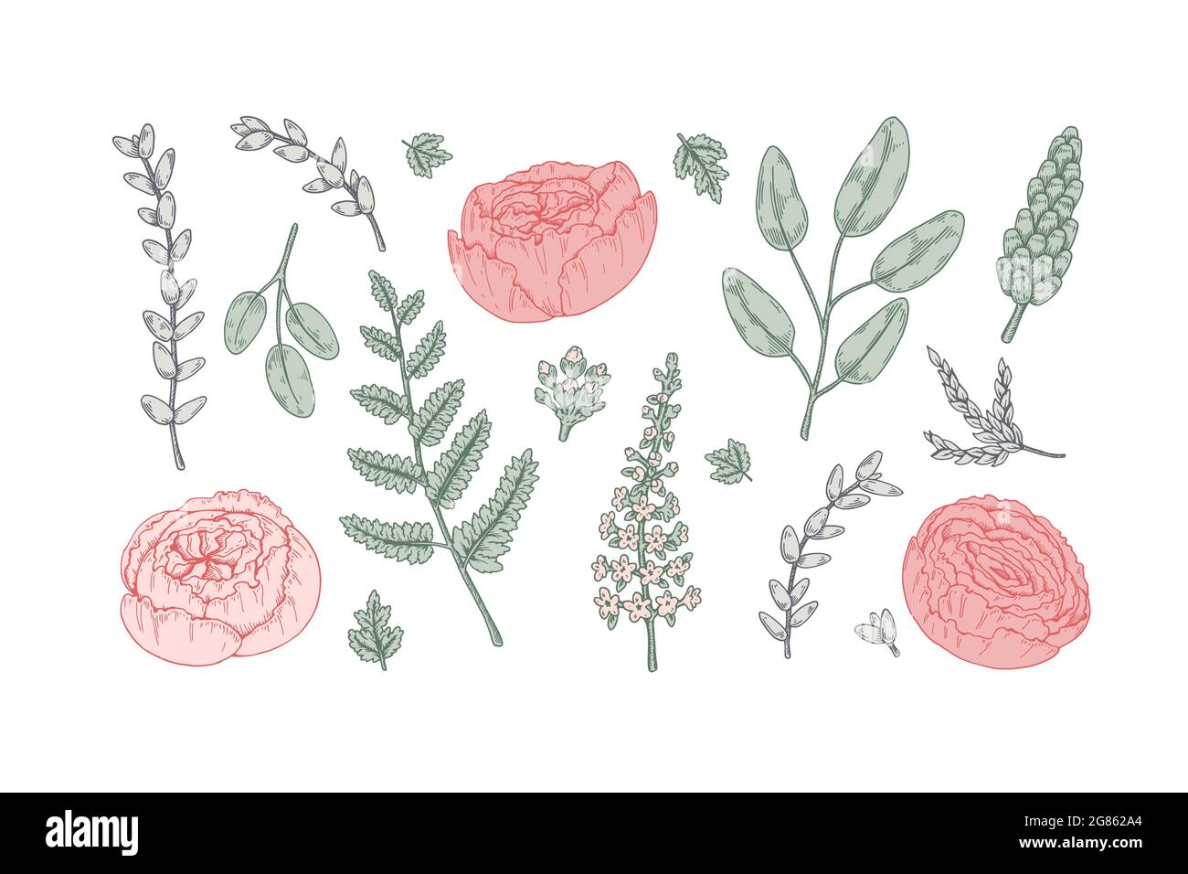 Set of hand drawn wedding floristry design element. Vector illustration ...