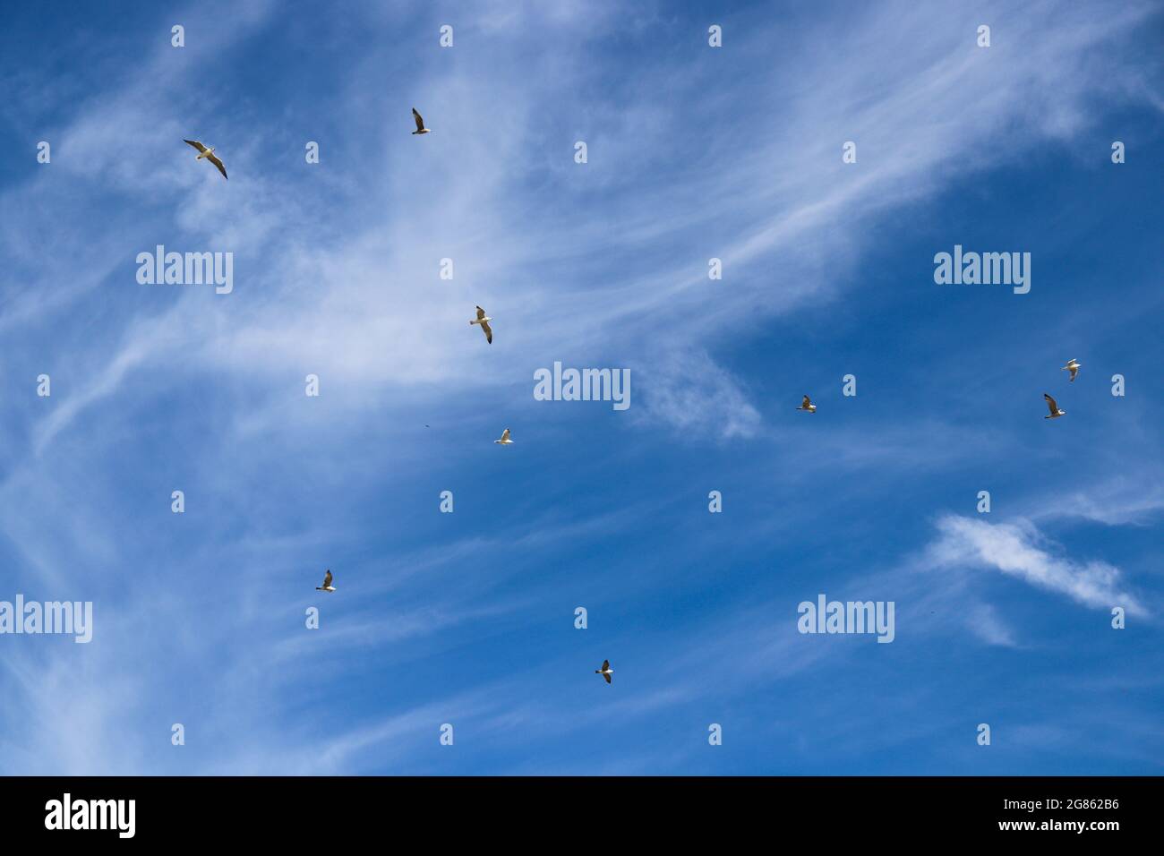 Blue sky with soft clouds. Blue sky background. Stock Photo