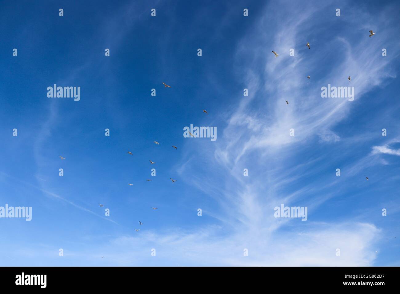 Blue sky with clouds. Blue sky background. Stock Photo