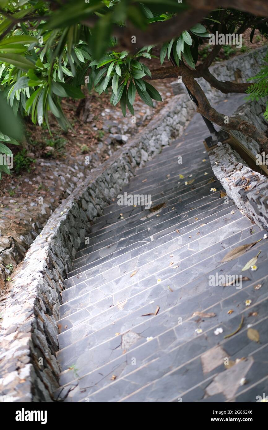 A descending stone stairs in a public park, shaded by dense tree canopy Stock Photo